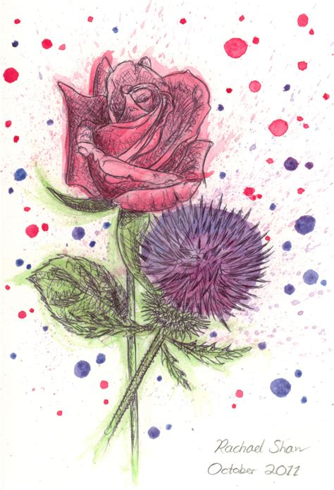 A Rose and Thistle by ThePotatoStabber on DeviantArt