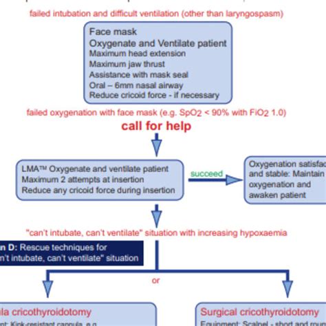 Ousama Bakir Gulf Medical University Ajman Gmu Anesthesia