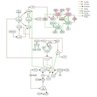 A Crosstalk Network Of Three Pathways APP Processing Pathways