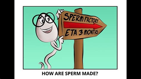 Spermbanter How Sperm Are Made From Dr Fertility Youtube