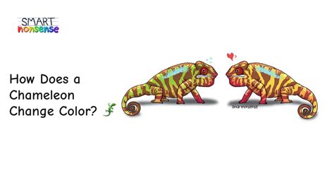 How Does a Chameleon Change Color? 🦎