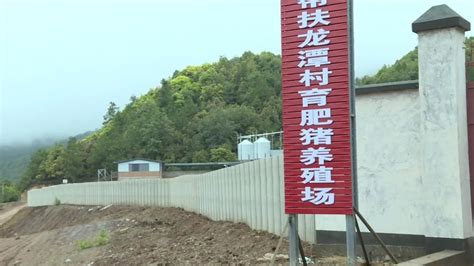 大兴调查研究·记者走基层 “沪滇协作”造福巍宝山乡澎湃号·政务澎湃新闻 The Paper