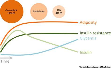 Mild Suppression Of Hyperinsulinemia To Treat Obesity And Insulin