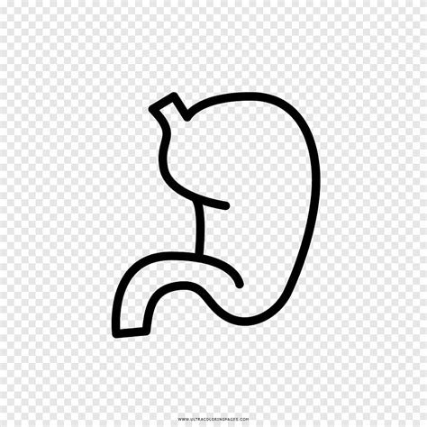 Желудок раскраска (много фото) - drawpics.ru