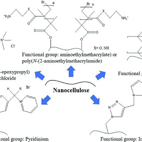 Types Of Nanocellulose According To Sources Treatments And Dimensions