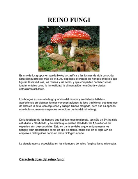 Reino Fungi Apuntes 4 Reino Fungi Es Uno De Los Grupos En Que La