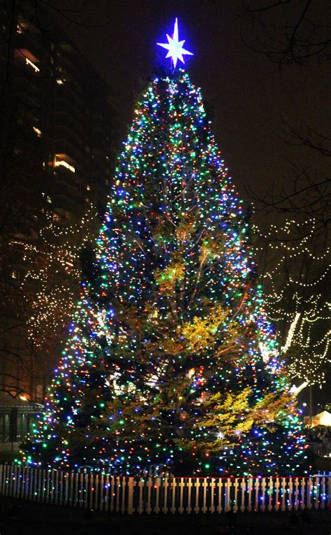 Holiday Events In Boston 2016 Tree Lightings Santa More