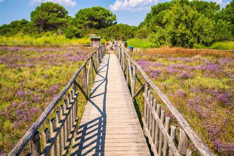 Giardino Botanico Di Rosolina Mare