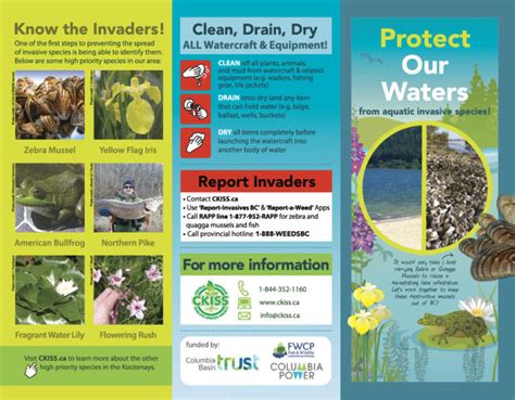 A New Education Tool To Prevent The Spread Of Harmful Invasive Species Redesigned Ckiss