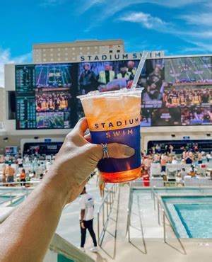 Stadium Swim Bottle Service Vegas VIP