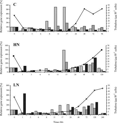 Changes In Gene Expression During C Hn And Ln Fermentations Tps