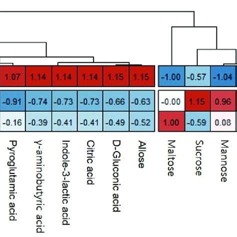 Heatmap Distribution And Concentration Of Phytochemicals Among