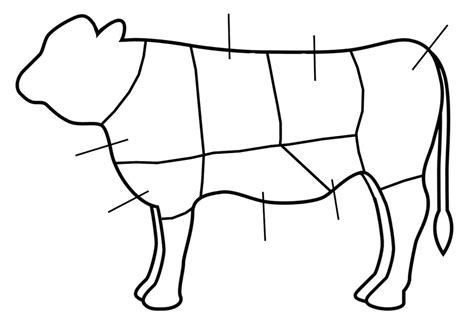 Beef Cuts Diagram Quizlet