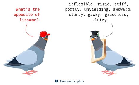 Lissome Synonyms And Lissome Antonyms Similar And Opposite Words For