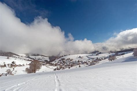 Black Forest in the winter stock image. Image of hofsgrund - 119357775