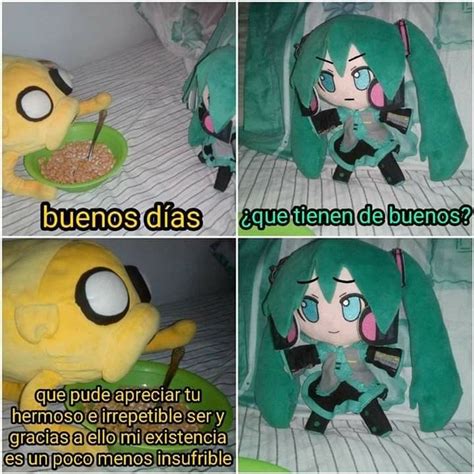 Pin De Scrips Shadow En Humor Absurdo Im Genes Divertidas Memes