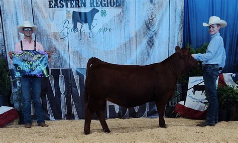 Union County Hers Bring Home Big Wins At Regional Beef Expo