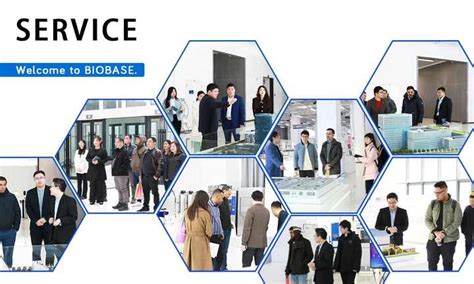 BIOBASE China Graphite Hot Plate GH 400 High Precision Graphite Heating Hotplate 450 Degree For