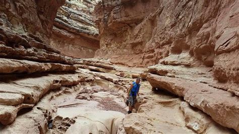 Marble Canyon Utah All You Need To Know Before You Go Tripadvisor