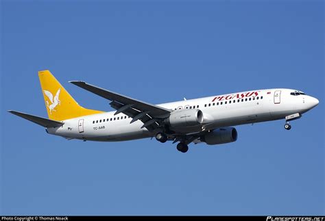 TC AAB Pegasus Boeing 737 86N Photo By Thomas Noack ID 000112