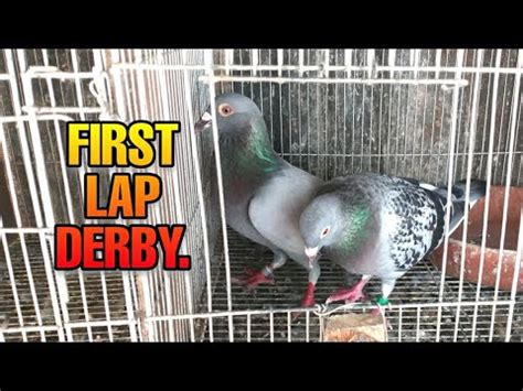 First Lap Derby Ng Kalapati Natin South Race Lucban Quezon Km Air