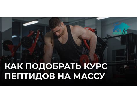 Как правильно подобрать курс пептидов на массу | gormonrosta.net.ua
