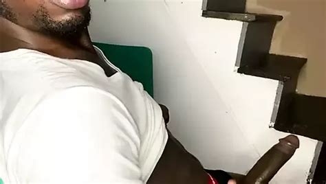 BigDongPapi S Porn Videos And Reels Nude Photos And Bio On XHamster