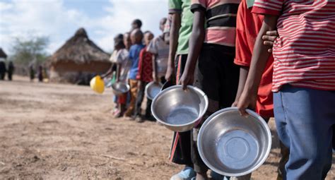 Inseguran A Alimentar Causas E Consequ Ncias Mundo Educa O