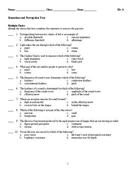 Psychology Sensation And Perception Test By Coren S Corner Tpt