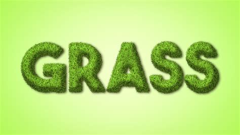 Grass Text Effect Photoshop Effect Photoshop Tutorial