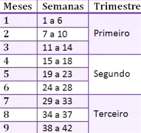 9 Meses Tem Quantos Dias