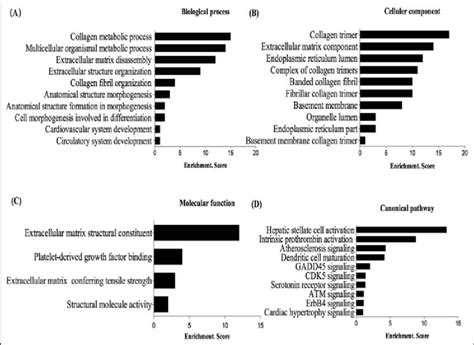 Gene Ontology Go And Subcellular Locations Of Differentially