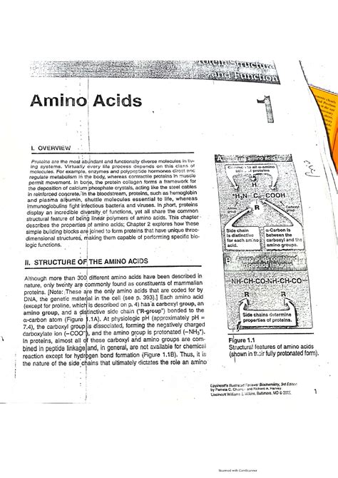 Solution Amino Acids Studypool