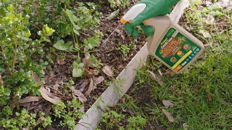 Controlling Weeds Naturally With Earthcare Organic Weedkiller Nigel Ruck The Garden Gurus