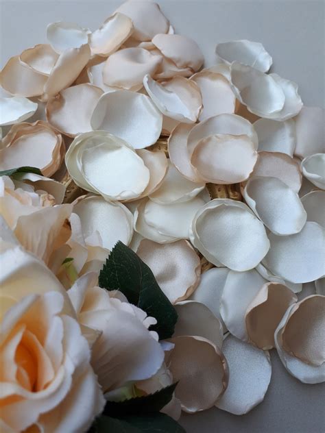 Champagne Rose Petals Ivory Rose Petals Wedding Decoration Etsy Uk