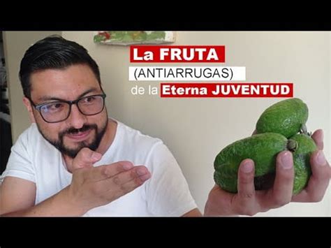 Descubre La Fruta De La Eterna Juventud Beneficios Propiedades Y