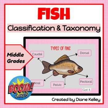 Fish Classification and Taxonomy Boom Cards by Diane Kelley | TPT