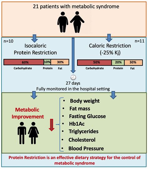 Nutrients Free Full Text Dietary Protein Restriction Improves Metabolic Dysfunction In