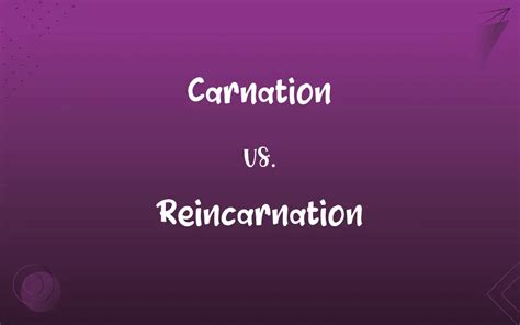 Carnation Vs Reincarnation Whats The Difference