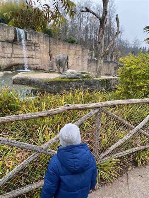 Visit Zurich Zoo: Discover The World's Animals At Home - SwitzerLanding