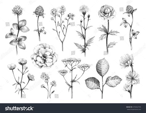 183,186 Nature Pencil Sketch Images, Stock Photos, and Vectors | Shutterstock