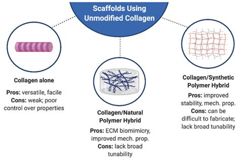 Bioengineering Free Full Text Engineered Collagen Matrices