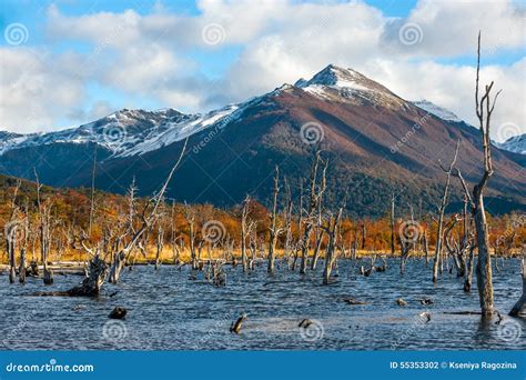 Lago Escondido Isla Grande De Tierra Del Fuego La Argentina Foto De