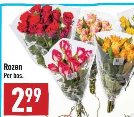 Rozen Aanbieding Bij ALDI 1Folders Nl