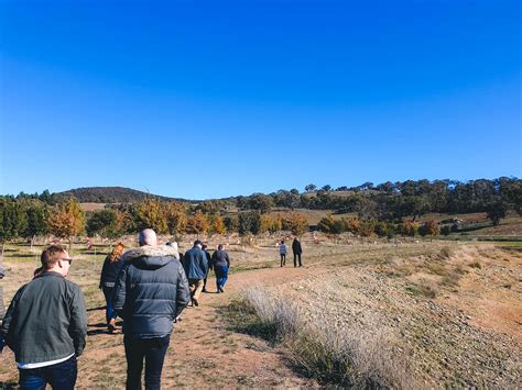 Hunting For Black Gold The Truffle Farm Canberra Im Still Hungry