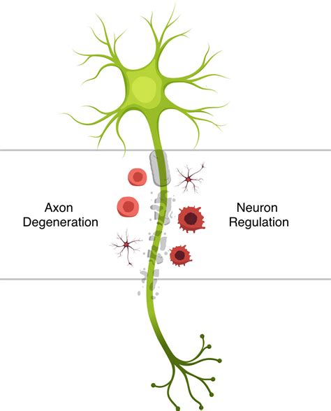 axon | Nura Bio™