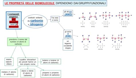 Le Propriet Delle Biomolecole Dsa Study Maps