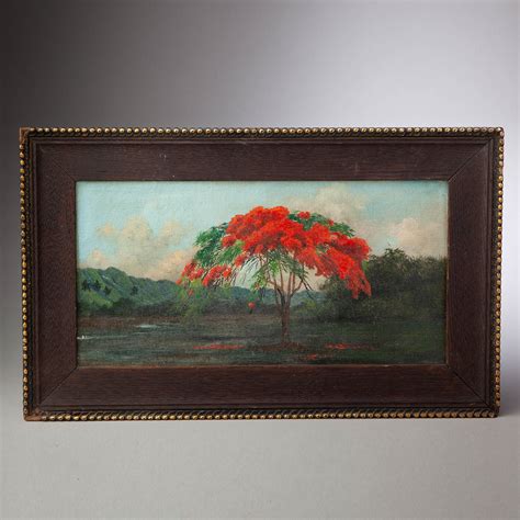 Hawaii Royal Poinciana Tree - SOLD — Art Blackburn