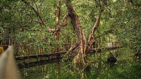 10 Rekomendasi Tempat Wisata Papua Di Biak Ada Negeri Dongeng Hingga