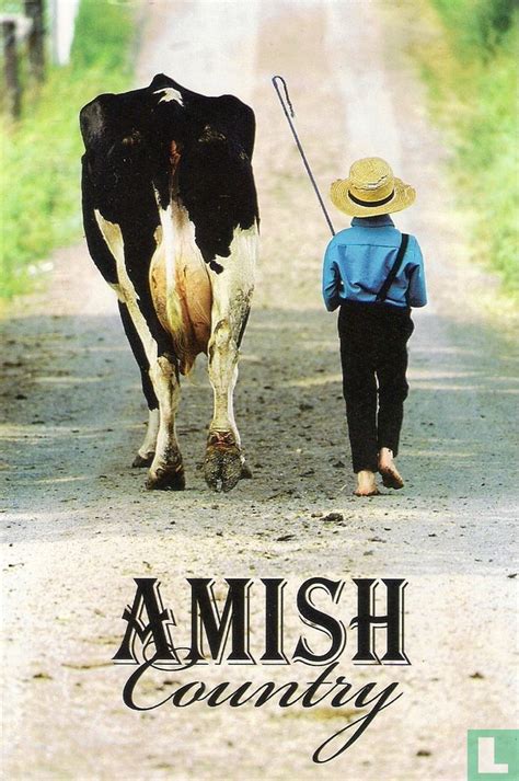 Amish Country 49341 2014 Americana Souvenirs And Ts Lastdodo